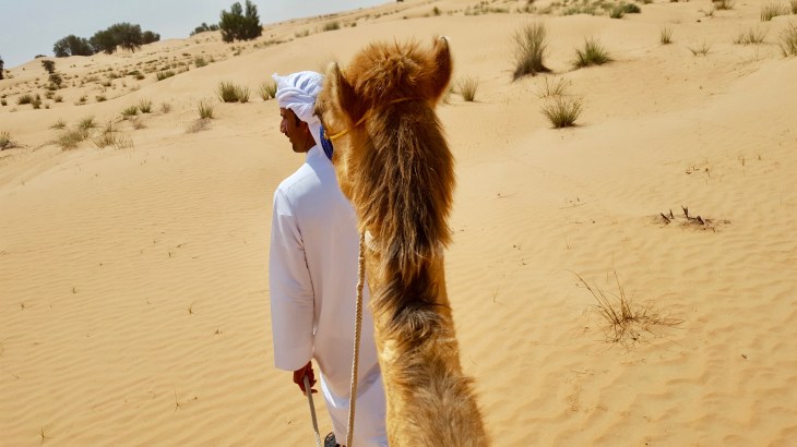 Dubai - chameau dromadaire - Desert - dunes - Voyage - LeCharmeElectro